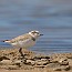 thumbs/IMG_6913.jpg